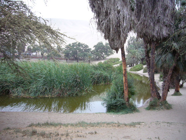 Huacachina - Oasis town